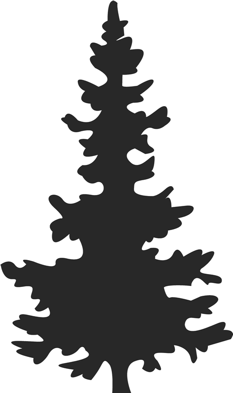 Christmas Tree Silhouette At Getdrawings - Spruce Tree Silhouette Png (800x800), Png Download