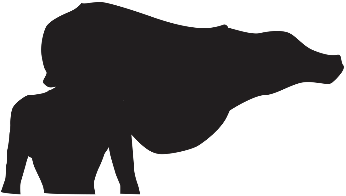 Pocahontas Is One Of Few Disney Movies Based Off A - Pocahontas Silhouette (1100x623), Png Download