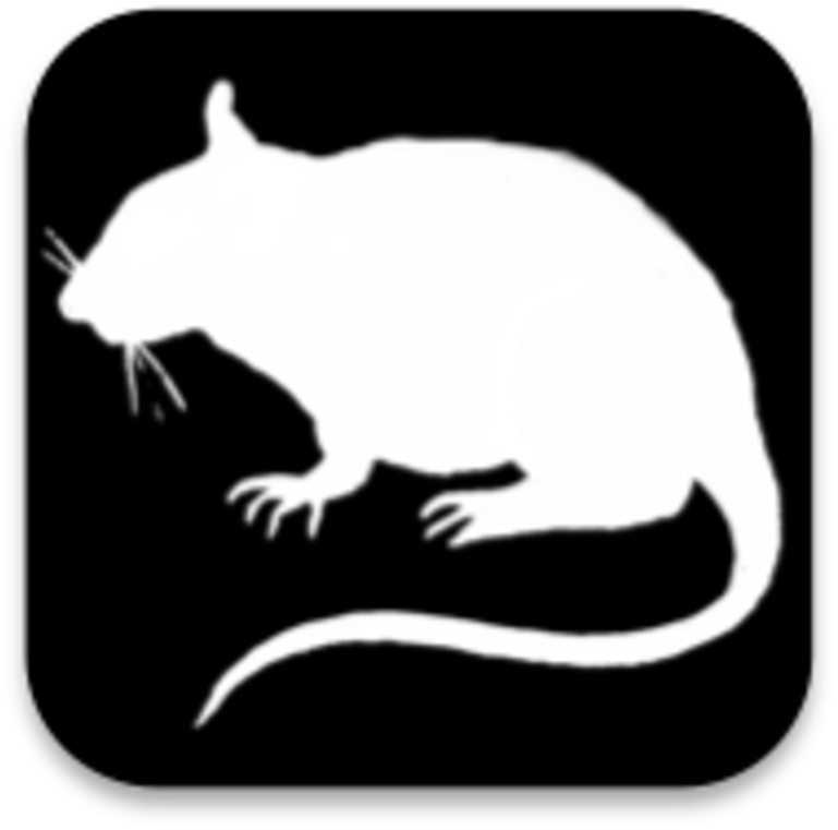 Rat (800x800), Png Download
