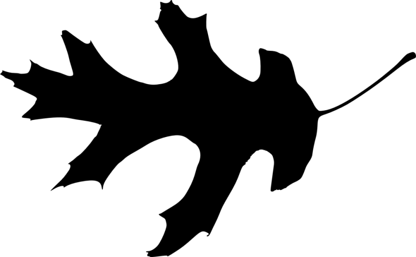 Free Png Leaf Silhouette Png Images Transparent - Portable Network Graphics (850x525), Png Download