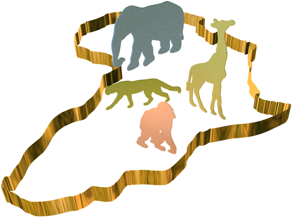 Illustration (1280x806), Png Download