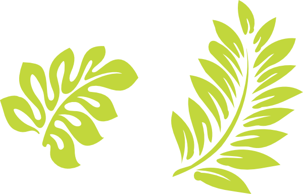 Tropical Leaf Clip Art (600x384), Png Download