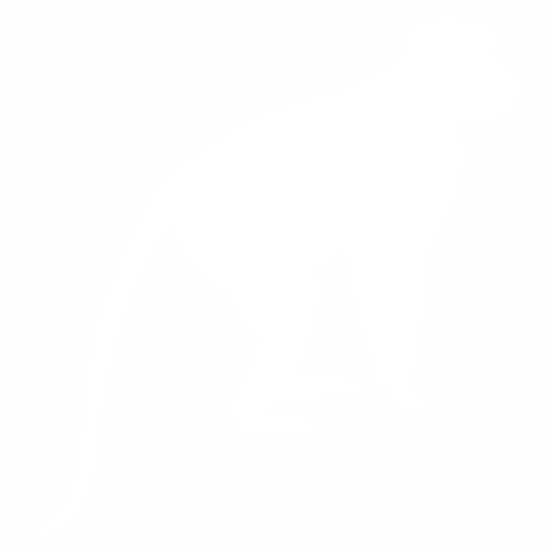Monkey - African Monkey Silhouette (500x500), Png Download