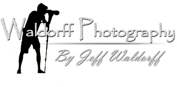 Waldorff Photography (660x324), Png Download