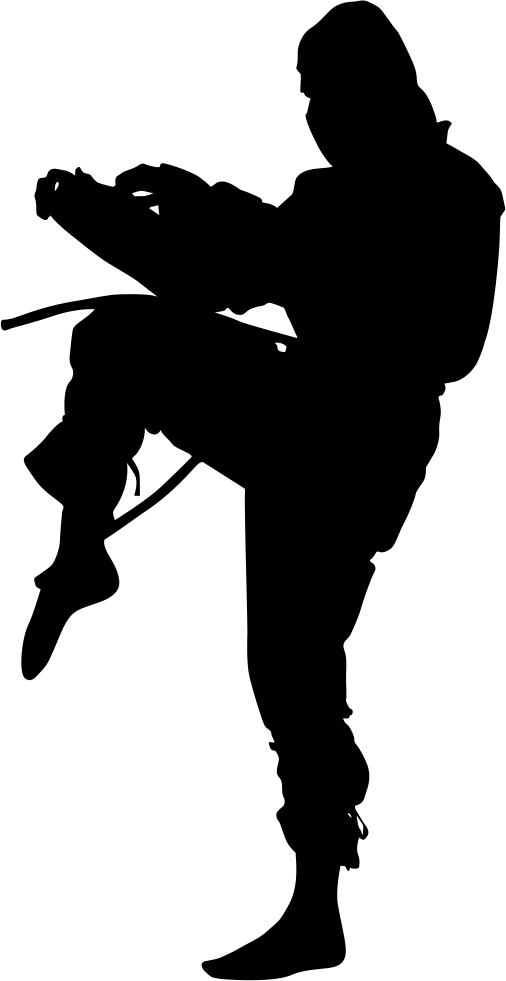 Ninja Comments - Ninja Clip Art (506x981), Png Download