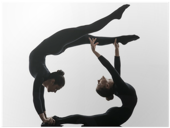 Two Women Contortionist Exercising Gymnastic Yoga Silhouette - La Fisica Agile. I Saperi Da Sapere. Con E-book. Con (400x400), Png Download