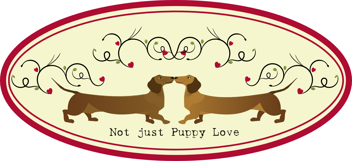 Dachshund - Valentines Day Dachshund Puppies (1493x686), Png Download
