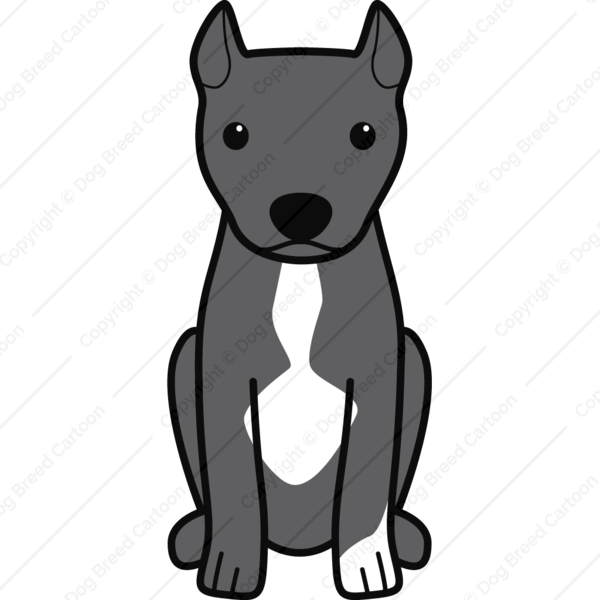 American Pitbull Terrier Cropped Ears - Pitbull Cartoon Transparent (600x600), Png Download