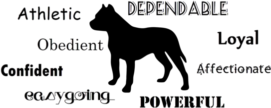 Pitbull (or Your Dog) Mom Baseball Tee (600x373), Png Download