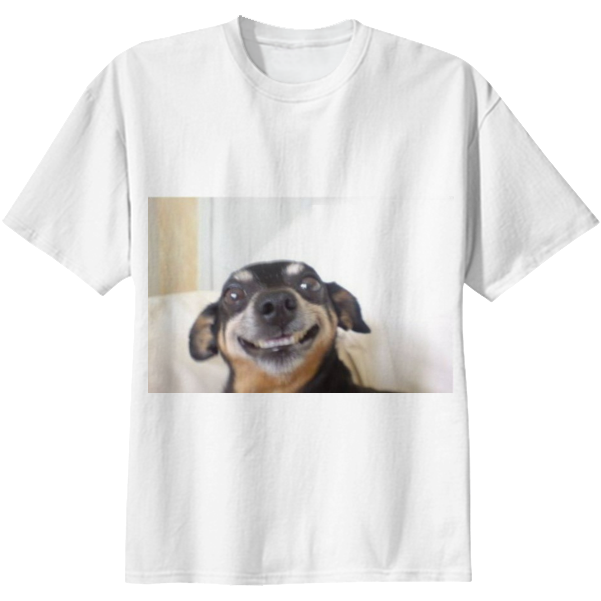 The Dog $38 - Companion Dog (608x621), Png Download