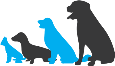 Small Group Segregation - Dog (400x400), Png Download
