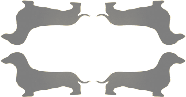 Dachshund (800x396), Png Download