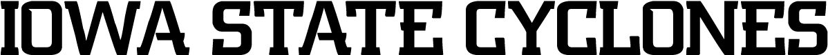 Artist (1200x300), Png Download