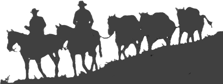 Glacier Pack Train - Horse Pack Train Silhouette (780x303), Png Download