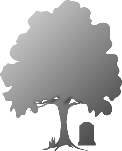 Find A Cemetery - Tree (400x497), Png Download