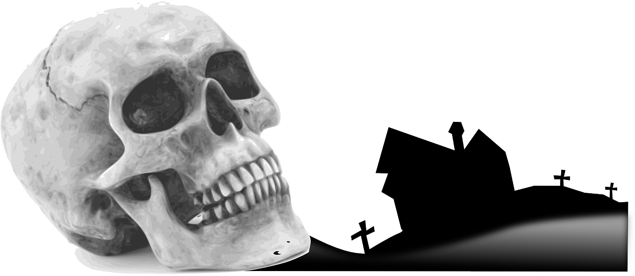 Halloween Skull Shower Curtain (500x250), Png Download