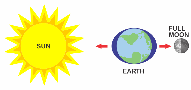 Spring Tide Explained - Solar Control Glass Detail (800x376), Png Download