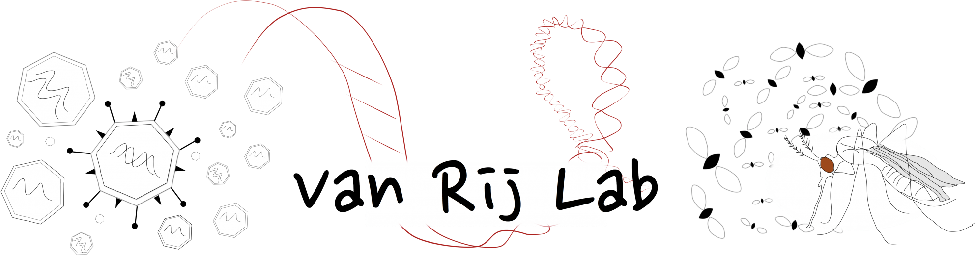 Doctor Of Philosophy (2000x528), Png Download