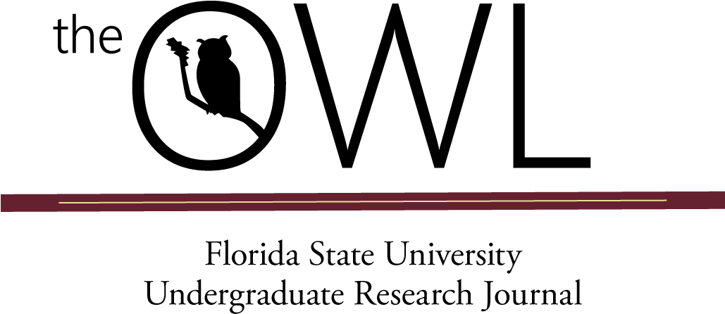 Page Header (1028x495), Png Download