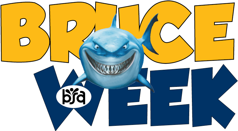 Finding Nemo Shark Pixar Art 40x30 Framed Canvas Print (918x450), Png Download