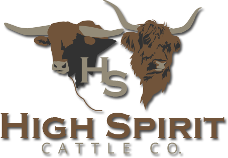 Rajasthan High Court Logo (454x314), Png Download