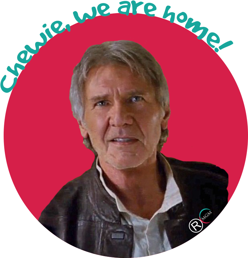 We Are Captivated, Excited, Nostalgic Or Frustrated - Star Wars Rogue One Harrison Ford (900x900), Png Download