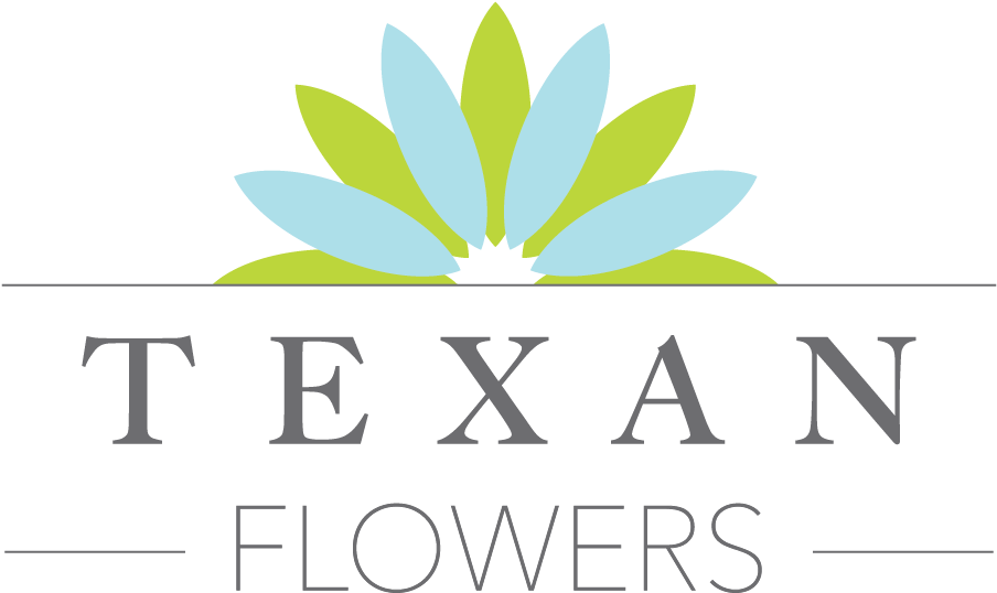 Texan Flowers - Seminar (1275x724), Png Download