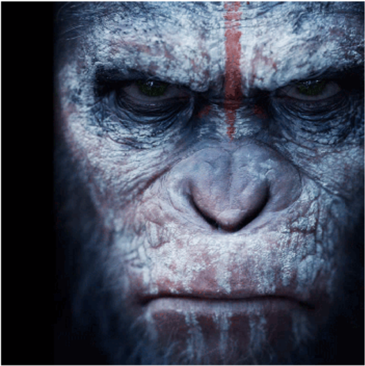 Smartphone And Pc Strategy Title Plague Inc Has Nabbed - Planet Of The Apes Caesar T Shirt (1200x675), Png Download