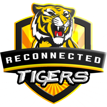3-2 - Richmond Tigers Polar Fleece Throw Rug Blanket (350x350), Png Download
