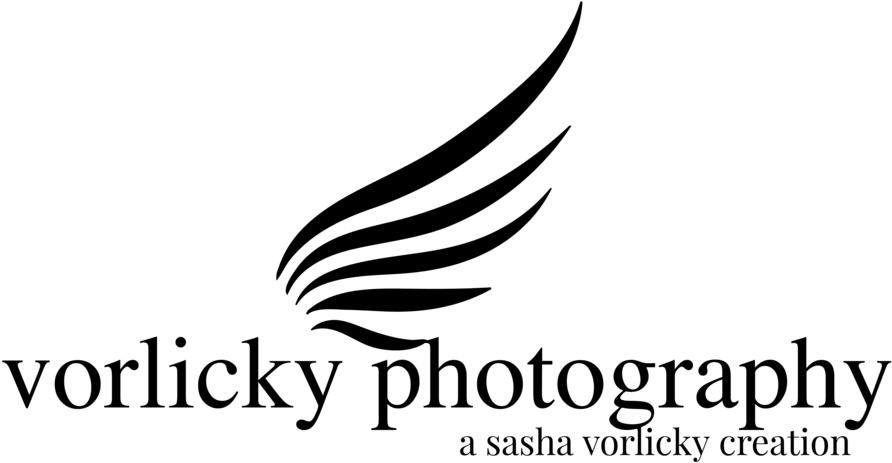 Creation Logo Png (1000x570), Png Download