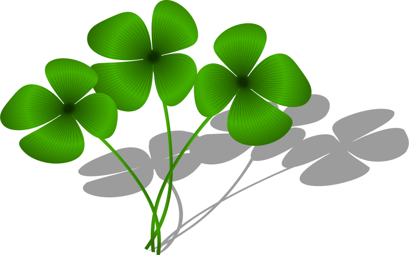 Download Vector - Trèfle À 4 Feuilles Dessin (800x500), Png Download