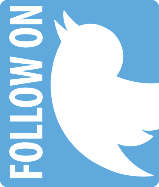 Logo Creation, Design And Cost - Button (544x640), Png Download