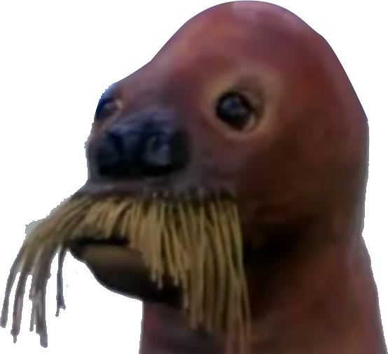 California Sea Lion (554x506), Png Download