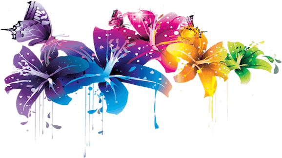 Best Guide Colors - Flower Vector Png (600x330), Png Download