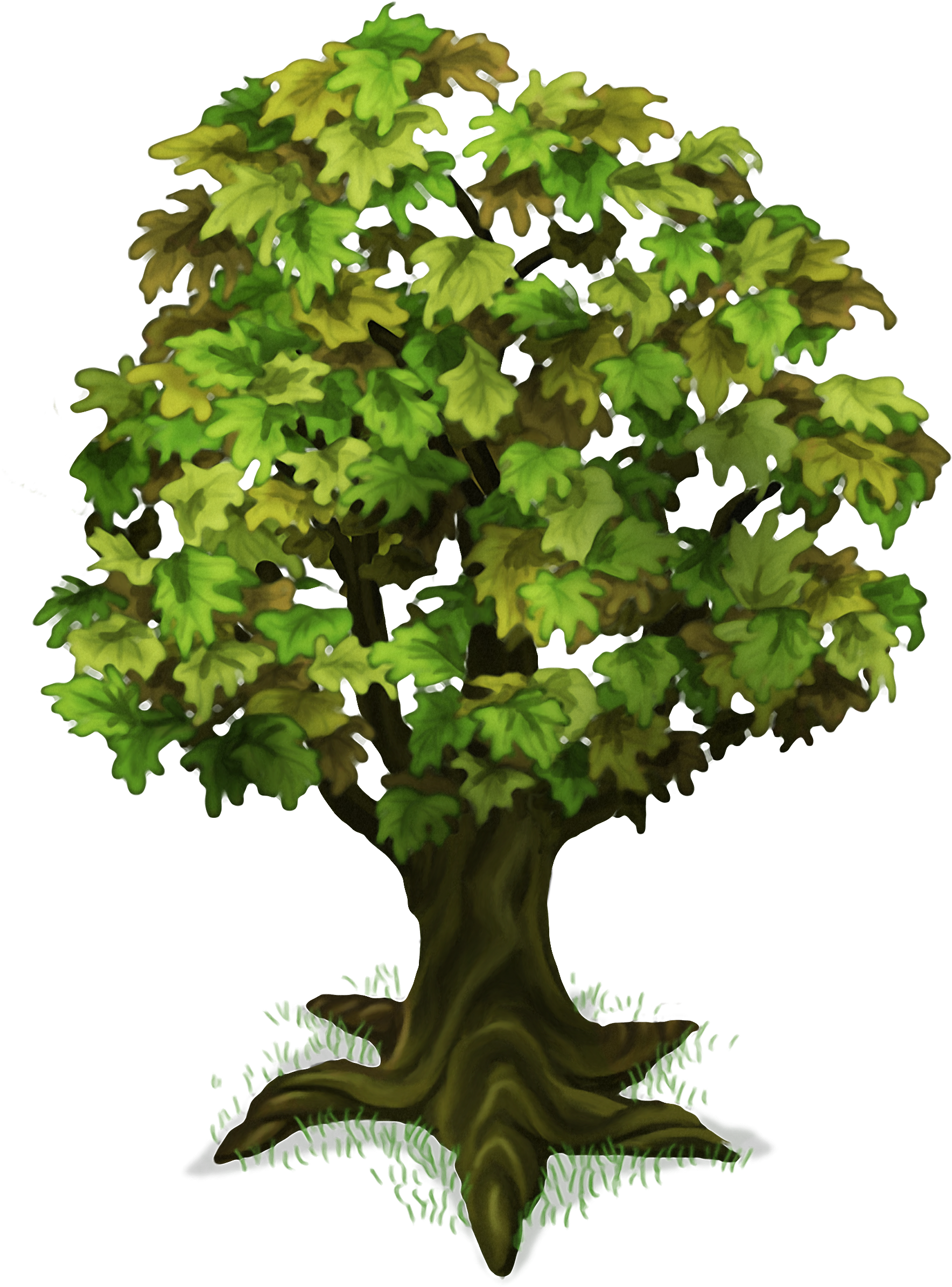 Plant Island Medium Tree - Tree (1783x2416), Png Download