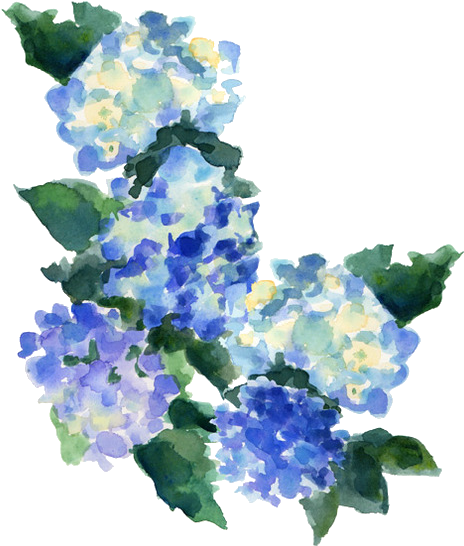 Transparent Transparent Blog Tumblr Transparent Transparent - Blue Watercolor Flowers Transparent (500x594), Png Download