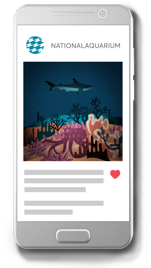 Phone-ig - National Aquarium (500x900), Png Download
