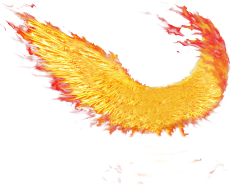 Fire Wings - Wings On Fire Png (800x800), Png Download