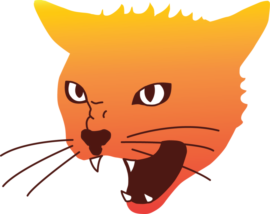 Angry Cat Png Image - Angry Cat Png (900x716), Png Download