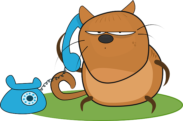Cat, Angry, Cartoon, Telephone, Talk, Answer, With - Talk On The Phone Clipart (640x425), Png Download