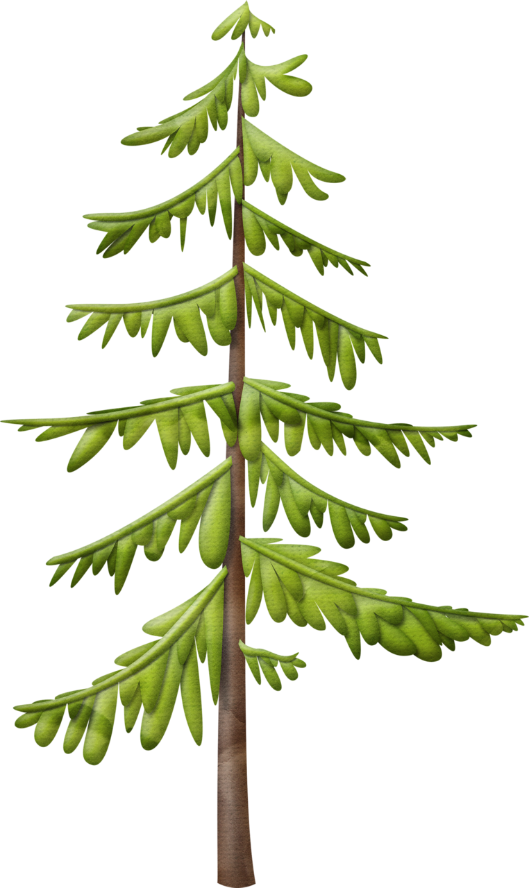 Trees ‿✿⁀°••○ - Christmas Day (762x1280), Png Download