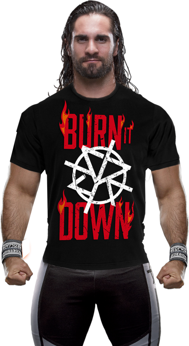 Seth Rollins - Seth Rollins Png Background (661x1210), Png Download