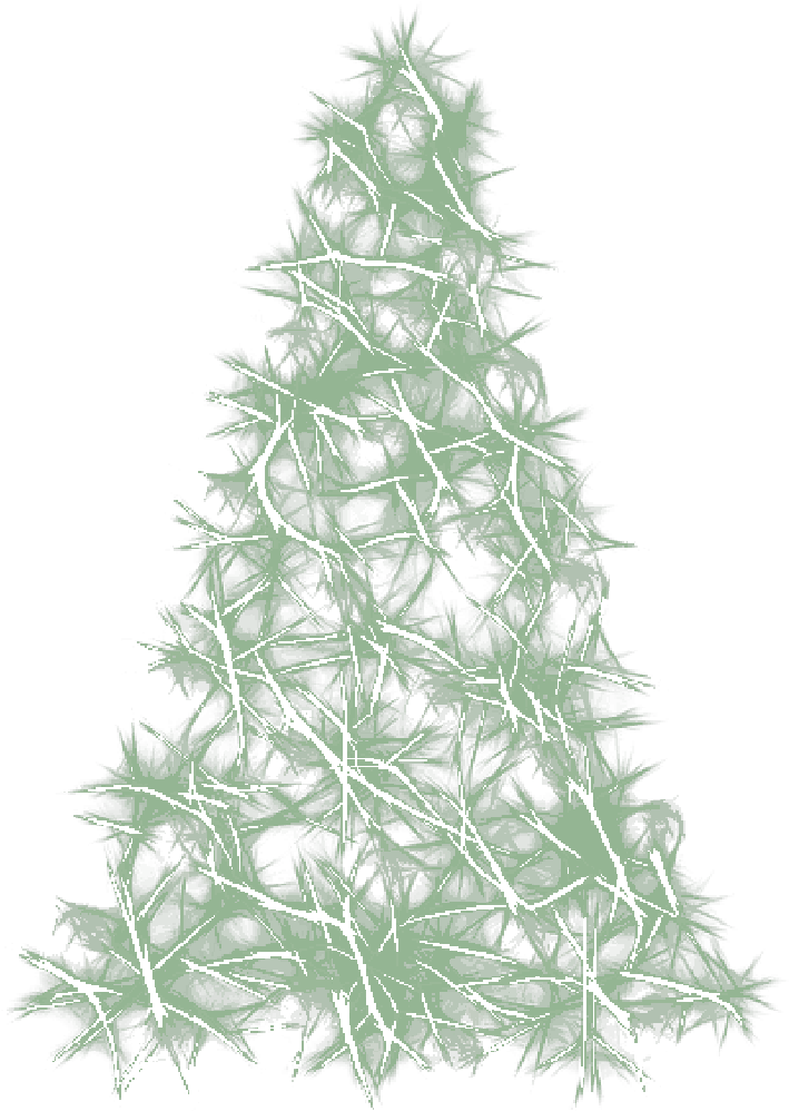 Mb Image/png - Pine (800x1130), Png Download
