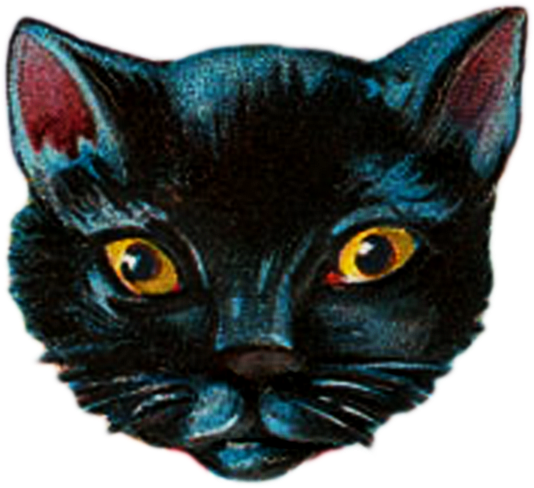 {click On Png Image To Download/save} - Black Cat Spooky Photo Glass Dome Tibet Silver Chain (534x488), Png Download