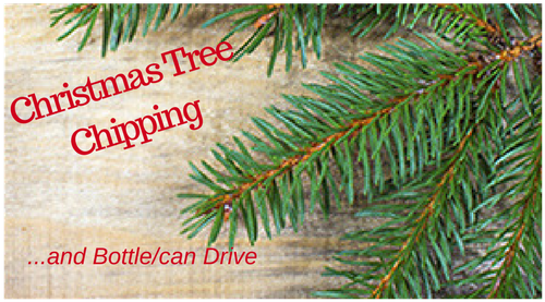 Christmas Tree Branch Png (500x500), Png Download