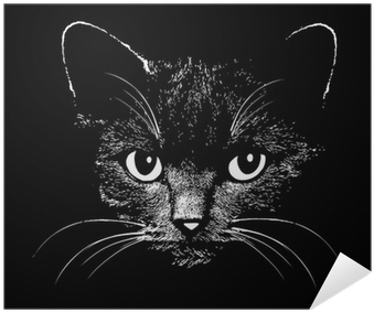 Designs Black White Cats (400x400), Png Download