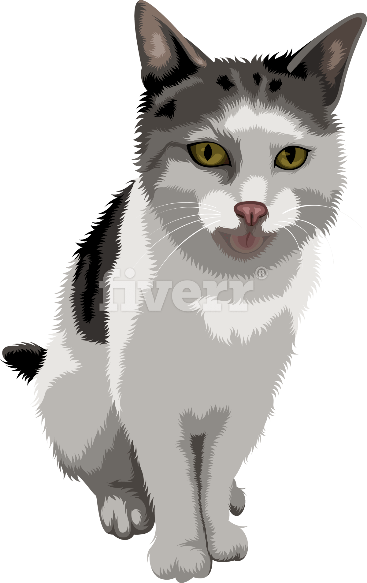 Kitten (1200x1906), Png Download