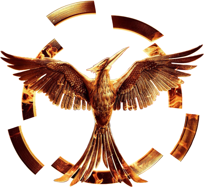 Hunger Games Png (894x894), Png Download