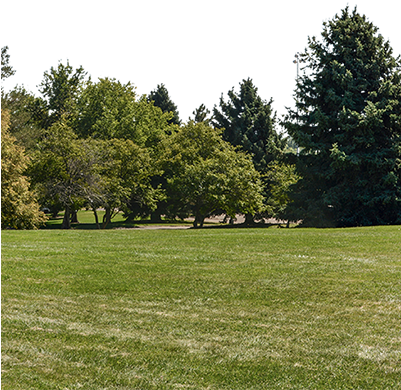 An Absolutely Enormous Panoramic Photo Of A Park With - Panoramic Tree Back Ground (400x400), Png Download