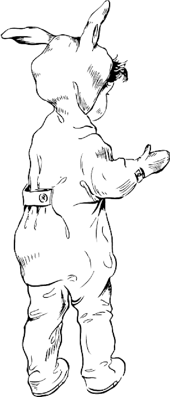 Mb Image/png - Rabbit (800x1600), Png Download